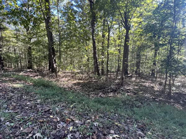 Bumpus Mills, TN 37028,0 Tobaccoport Rd