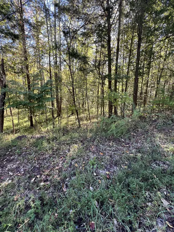 Bumpus Mills, TN 37028,0 Tobaccoport Rd