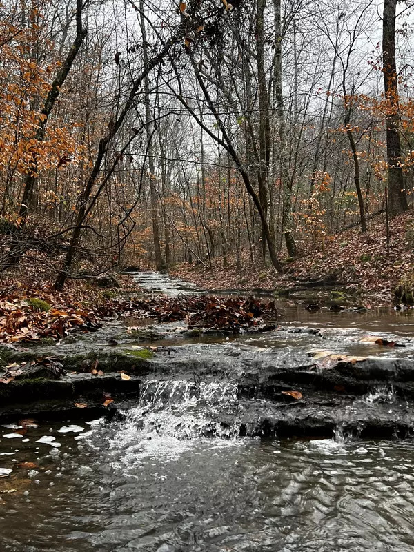 Lafayette, TN 37083,1911 Smalling Rd