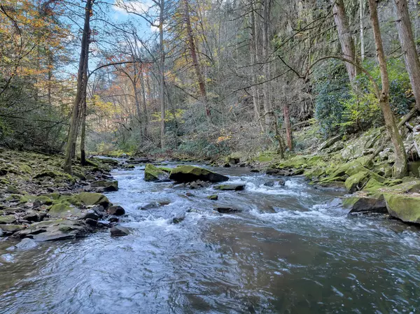 Altamont, TN 37301,0 Carlson Road