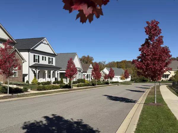 Fairview, TN 37062,7111 Frances St