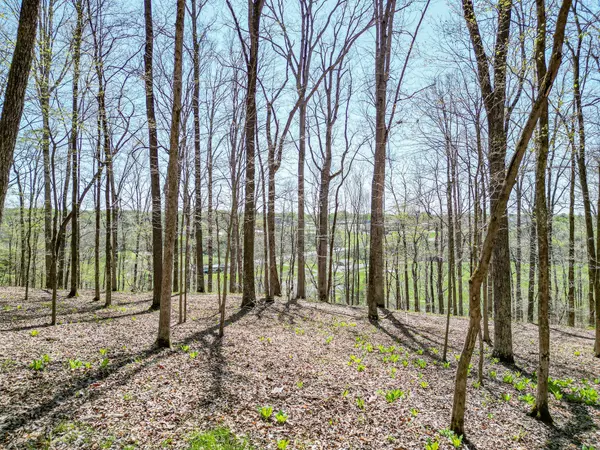 Centerville, TN 37033,317 Highway 100