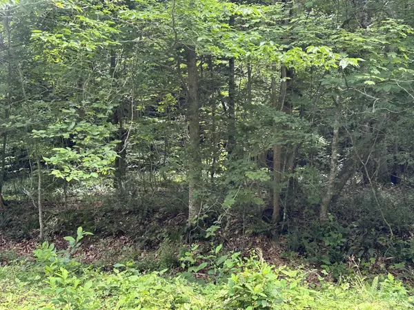 Joelton, TN 37080,2812 Union Hill Rd