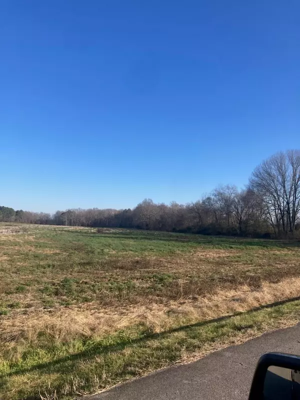 0 Bluff Rd, Loretto, TN 38469