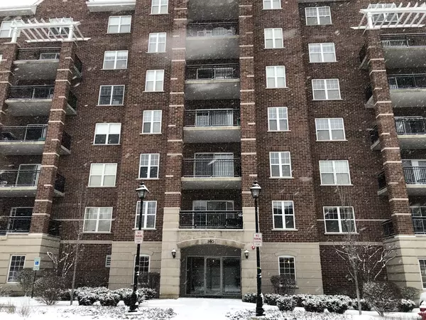 390 W Mahogany CT #608, Palatine, IL 60067