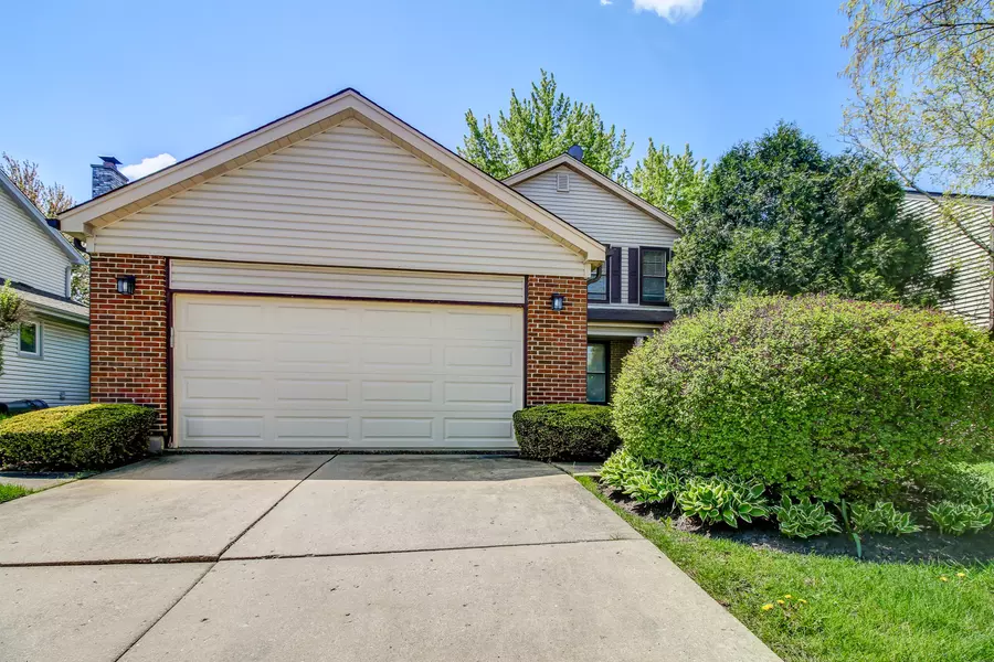 429 Ronnie DR, Buffalo Grove, IL 60089