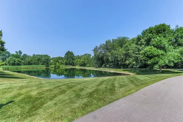 Palatine, IL 60067,341 W Hamilton DR #341