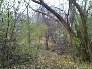 Spring Grove, IL 60081,28624 W Kendall AVE
