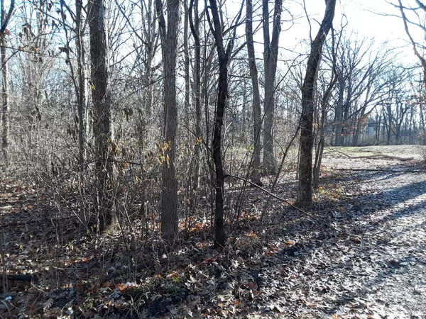 2887 Blackthorn Lot #75 RD, Riverwoods, IL 60015