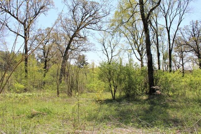 Lot 20 Masters DR, Morrison, IL 61270