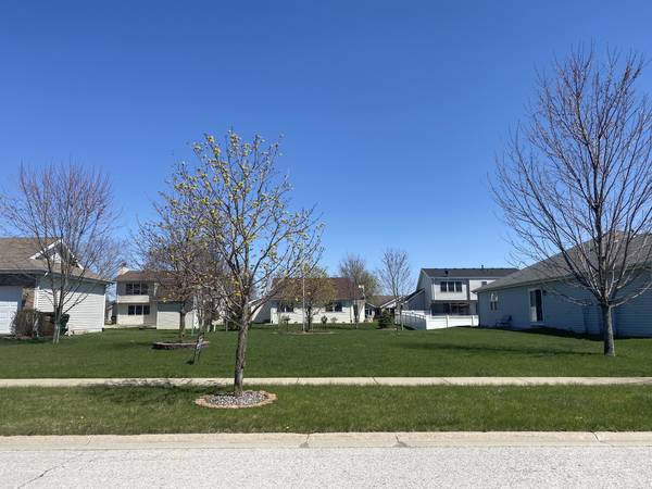 1439 TRAILSIDE DR, Beecher, IL 60401