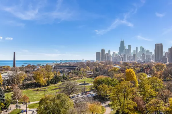 Chicago, IL 60614,2314 N Lincoln Park West #11N