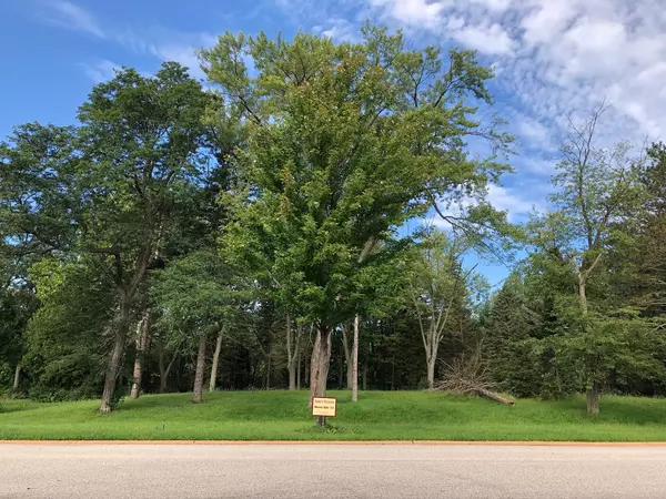 Lot 13 Abbey Woods DR, Barrington Hills, IL 60010