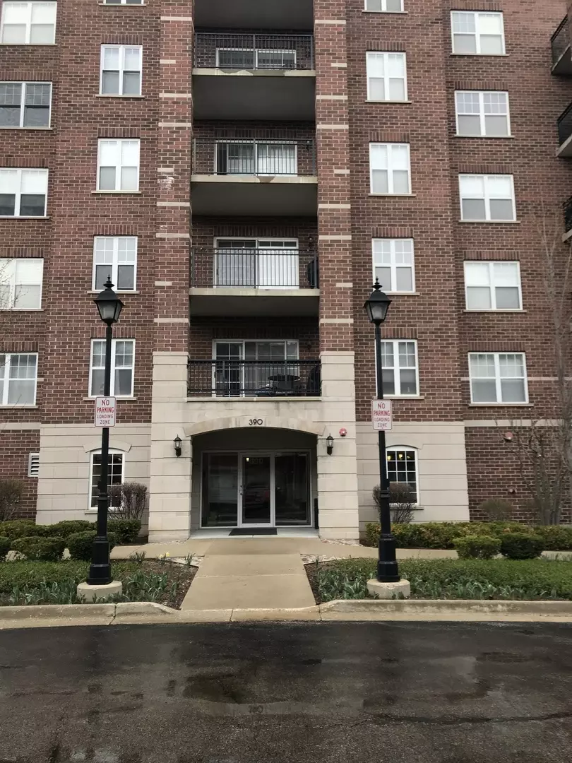 Palatine, IL 60067,390 W Mahogany CT #309