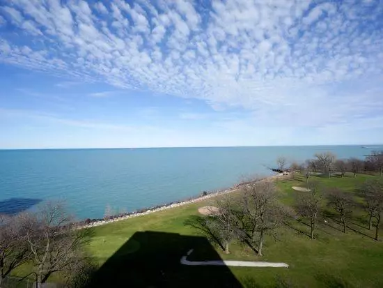 Chicago, IL 60649,6730 S South Shore DR #702