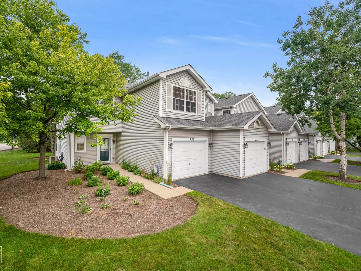 Schaumburg, IL 60194,228 MERIBEL CT