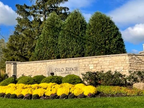 53 SILO RIDGE RD E, Orland Park, IL 60467