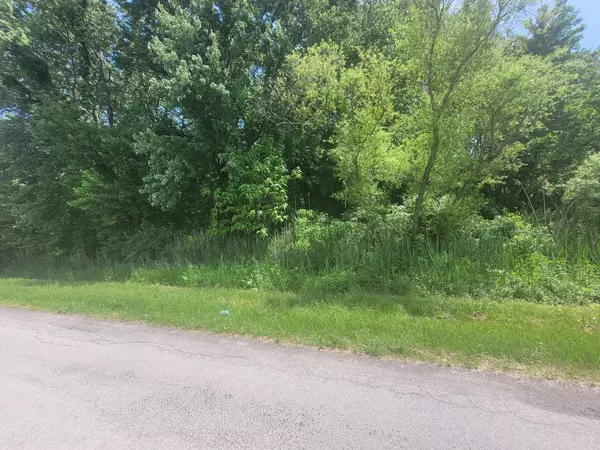 Pembroke Twp, IL 60958,2000 Lot 197 RD