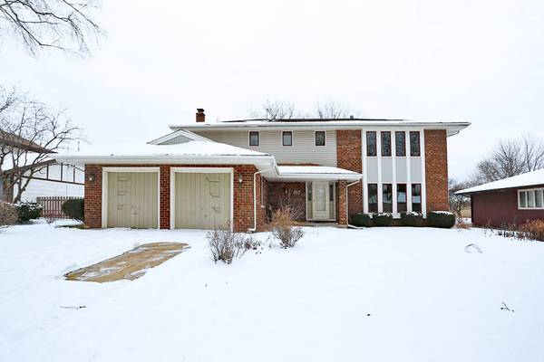 317 Wyoma LN, Schaumburg, IL 60193