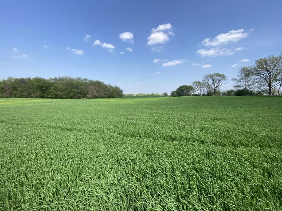 Hampshire, IL 60140,0000 Higgins RD