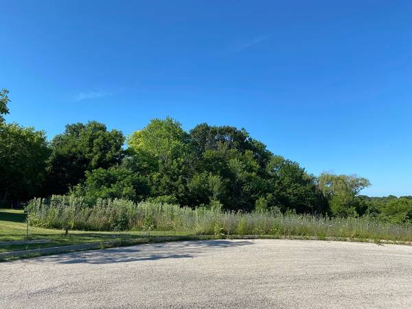 Antioch, IL 60002,Lot 6 Buena TER