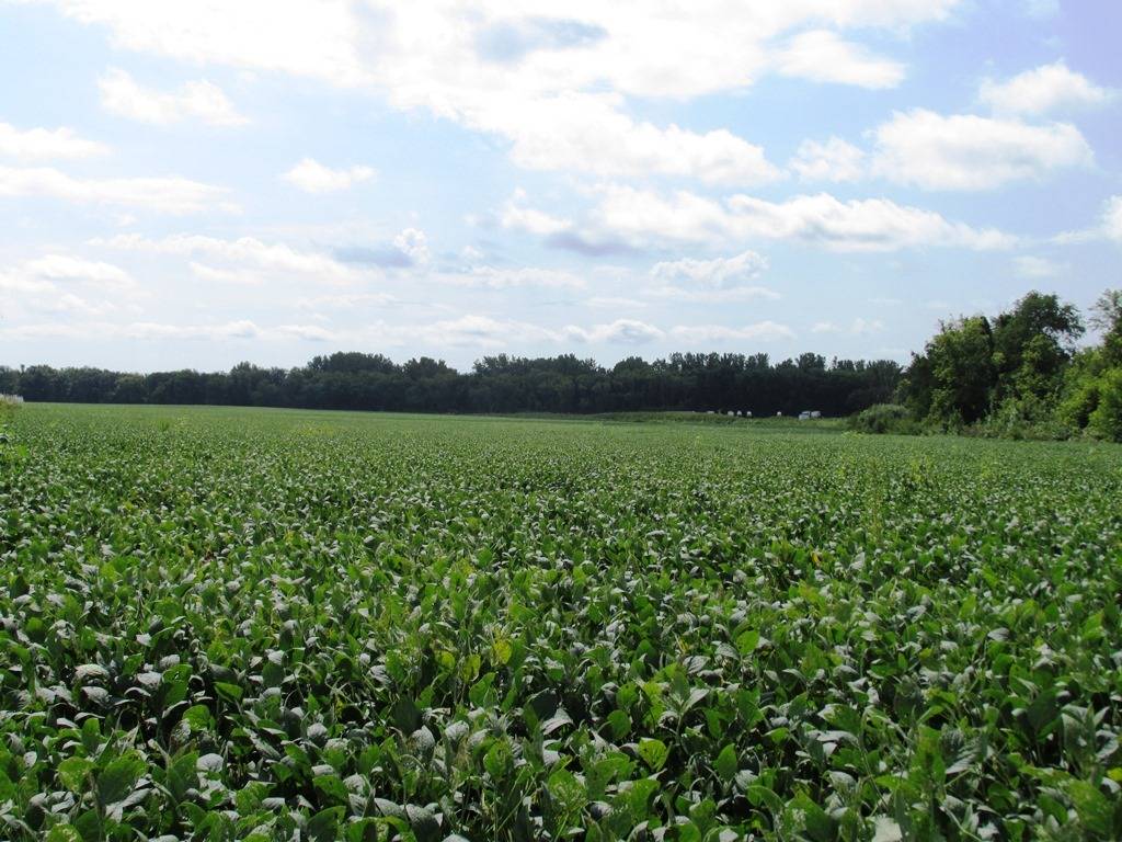 Poplar Grove, IL 61065,000 IL RT 173