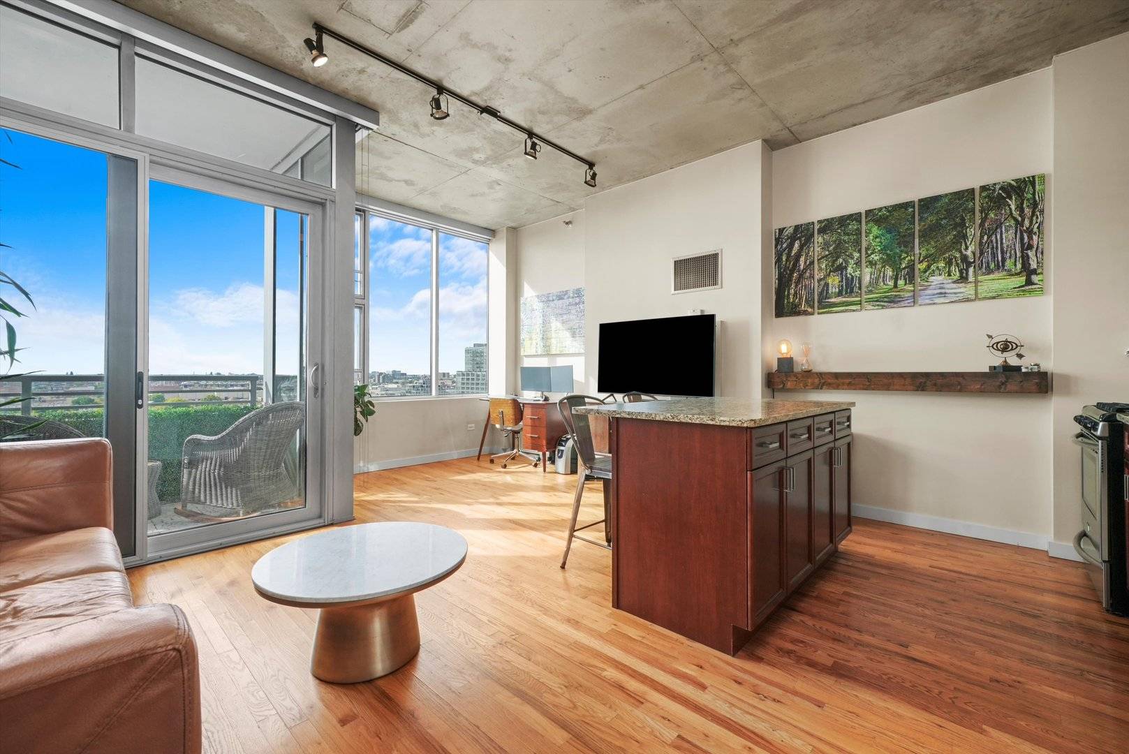 Chicago, IL 60616,1720 S Michigan AVE #1415