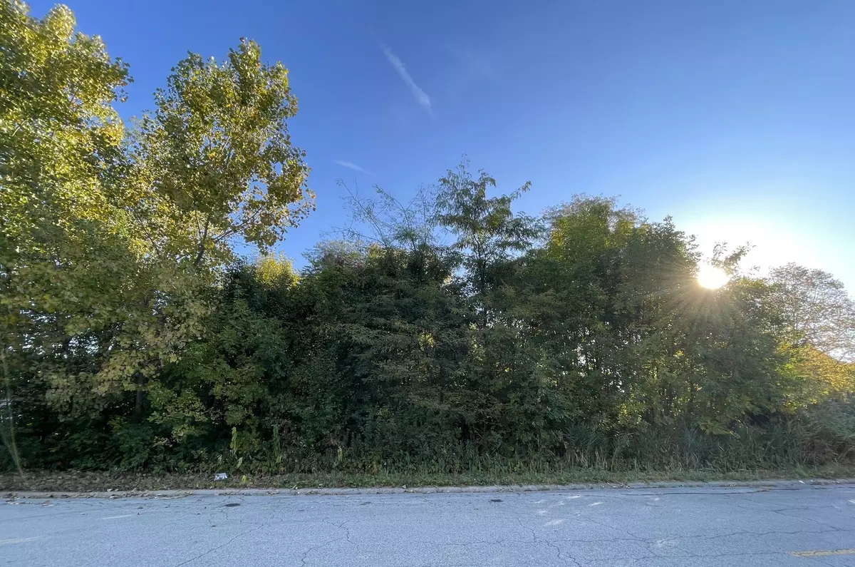 Morris, IL 60450,Lot 54 Forest View DR