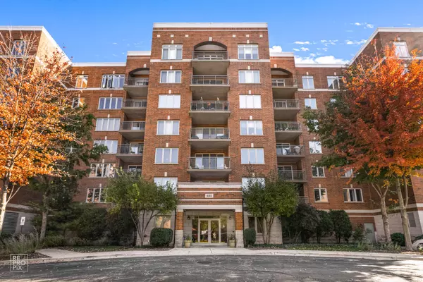 430 S Western AVE #302, Des Plaines, IL 60016