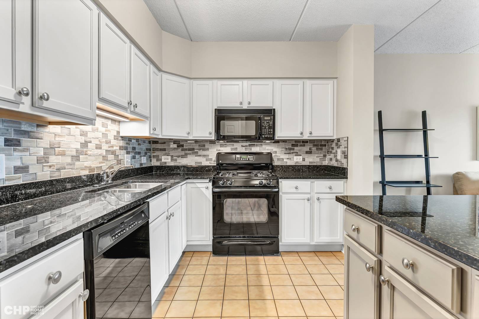 Chicago, IL 60659,5924 N Lincoln AVE #308