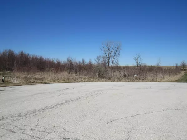 Frankfort, IL 60423,24310 S Armagh CT