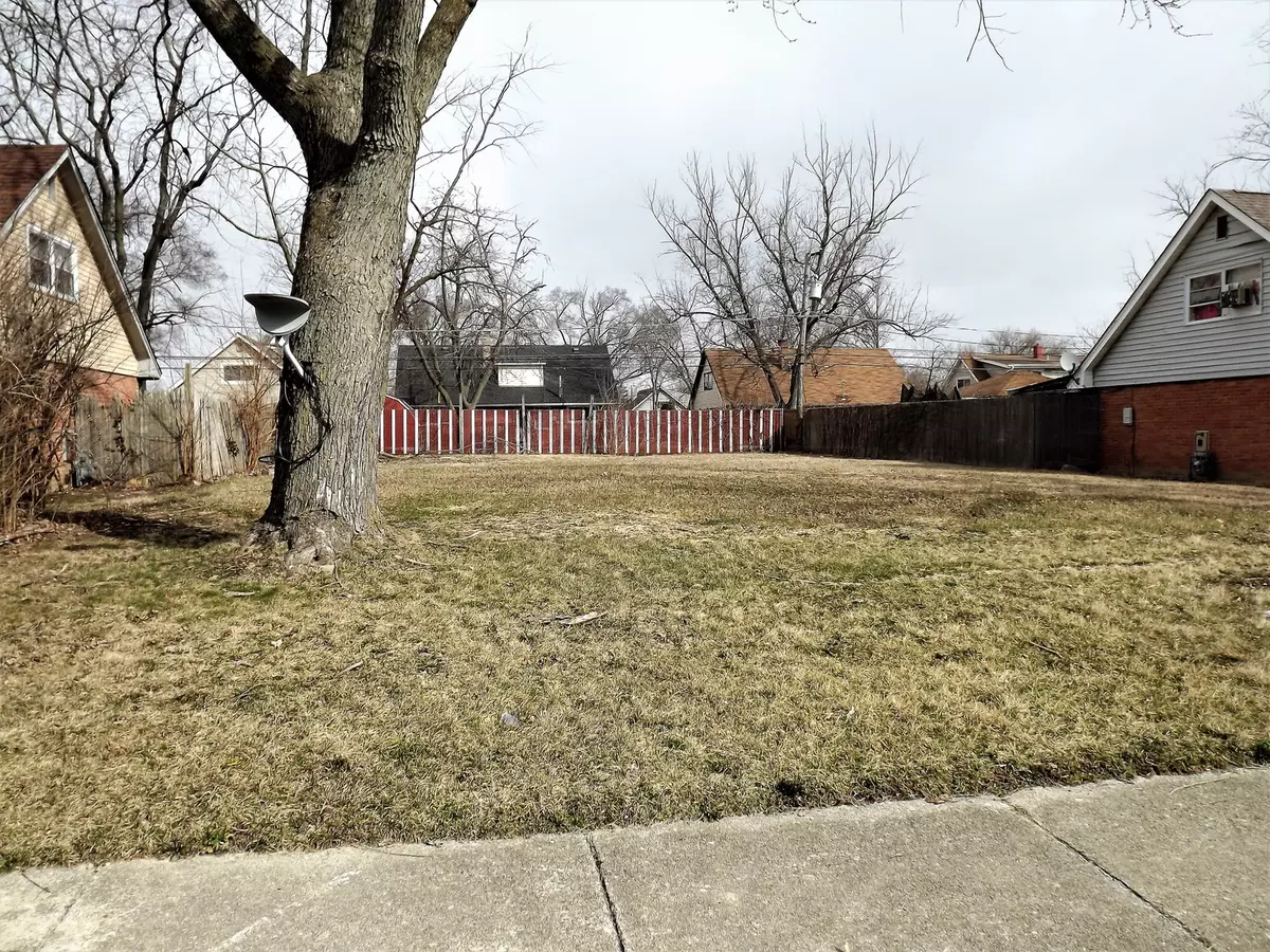 Chicago Heights, IL 60411,245 Frederick DR
