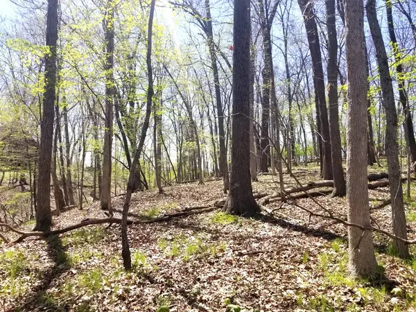 Lot 502/503 Brandywine CIR, Varna, IL 61375