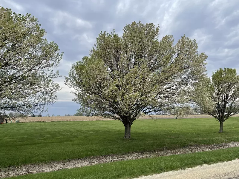 Lot 6 S 16000 W RD, Buckingham, IL 60917