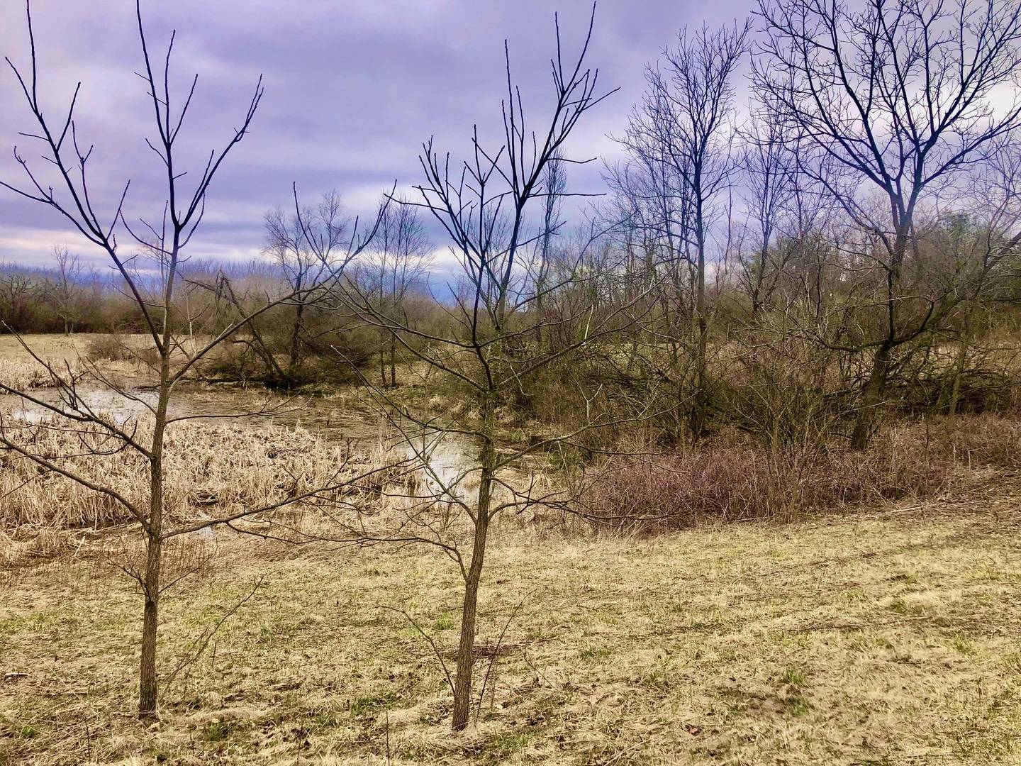 19529 Collins RD, Marengo, IL 60152