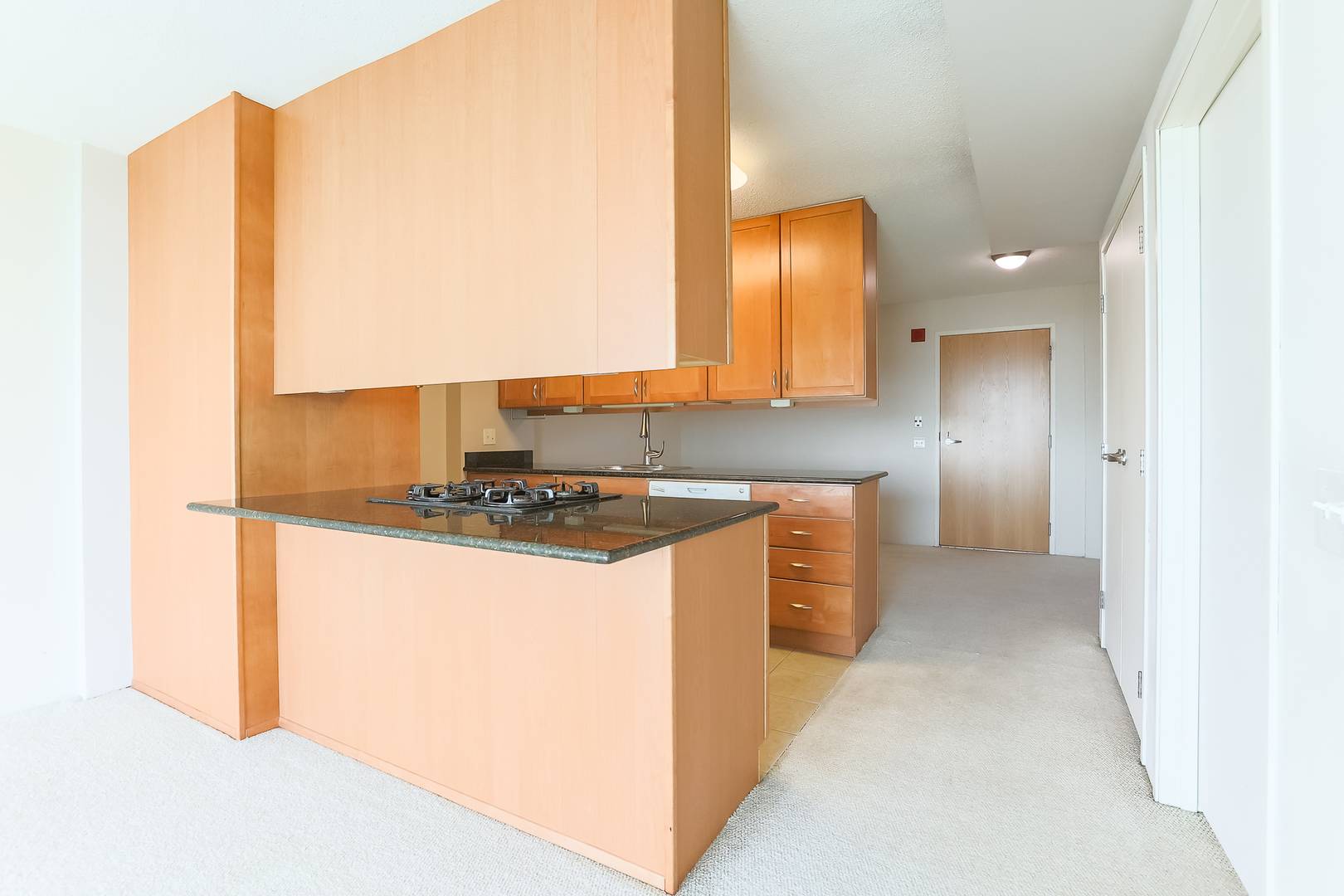 Skokie, IL 60077,9715 Woods DR #1107