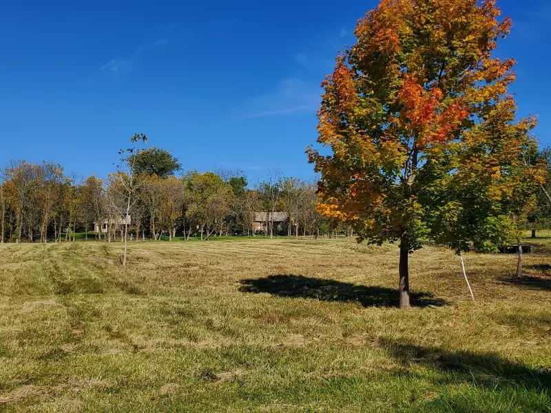 15104 W Schlosser CT, Wadsworth, IL 60083