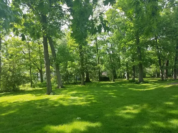 Wood Dale, IL 60191,000 homestead, Lot DR