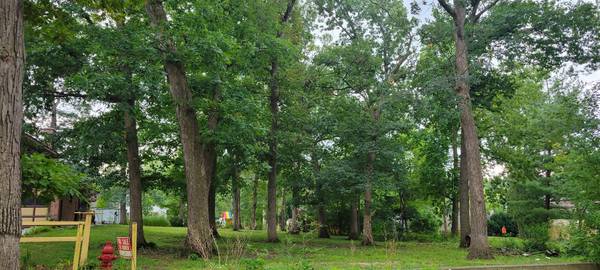 Wood Dale, IL 60191,000 homestead, Lot DR