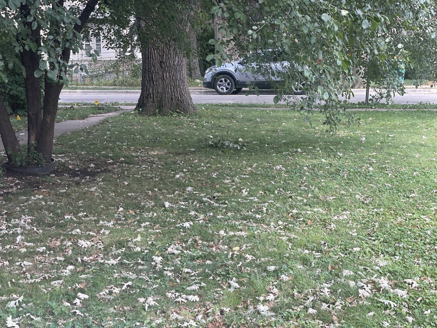 Joliet, IL 60436,17 S Cagwin AVE