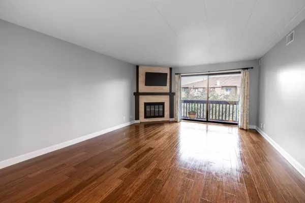 Oak Lawn, IL 60453,10351 MENARD AVE #315