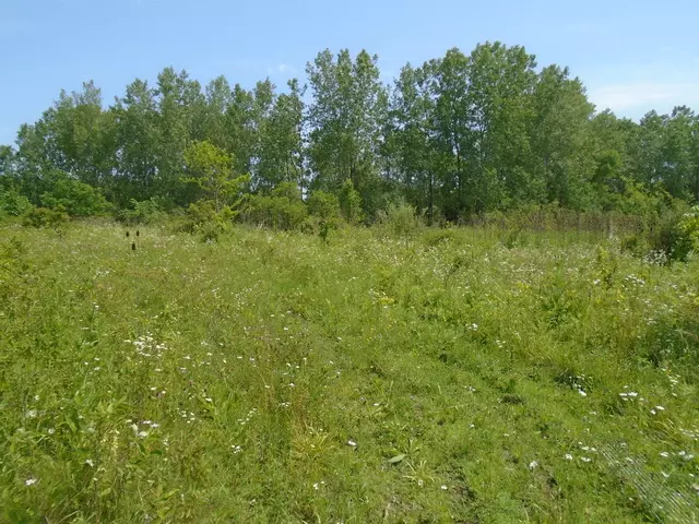 39155 N Dilleys RD, Wadsworth, IL 60083