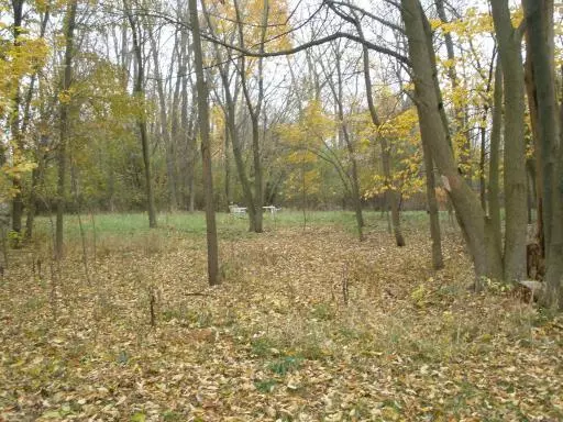 37817 N Lake Vista TER, Spring Grove, IL 60081