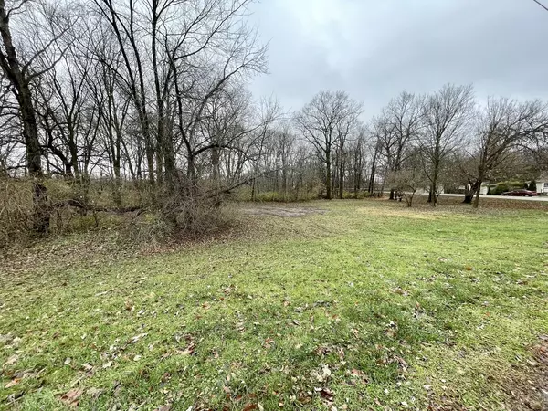 Marseilles, IL 61341,Lot 8-12 Young ST