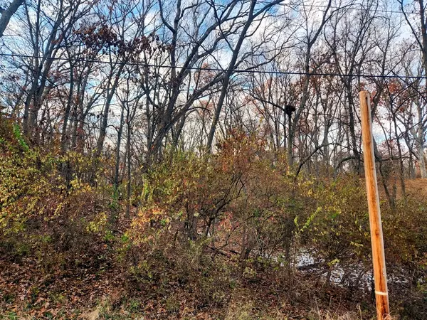 Lot 555 Rollingwood PL, Varna, IL 61375