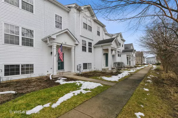 551 N Triumph CT, Hainesville, IL 60073