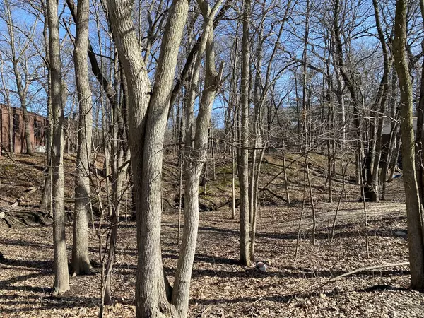 Park Forest, IL 60466,25 Thorn Creek DR