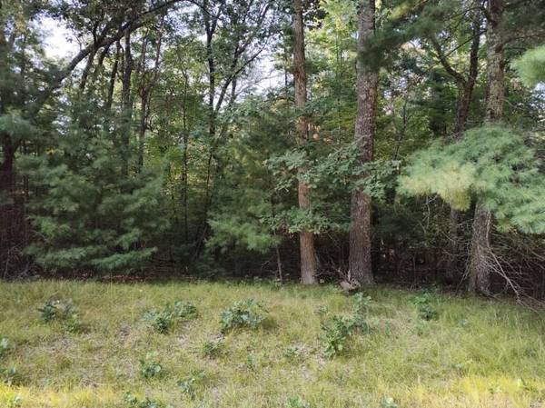 Lot 32 Badger CT S, Arkdale, WI 54613