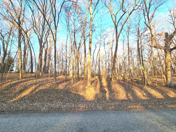 Varna, IL 61375,Lot 1808 Tanglewood DR