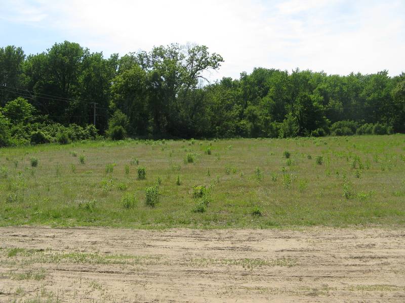 lot 1 S Irish LN, Custer Park, IL 60481